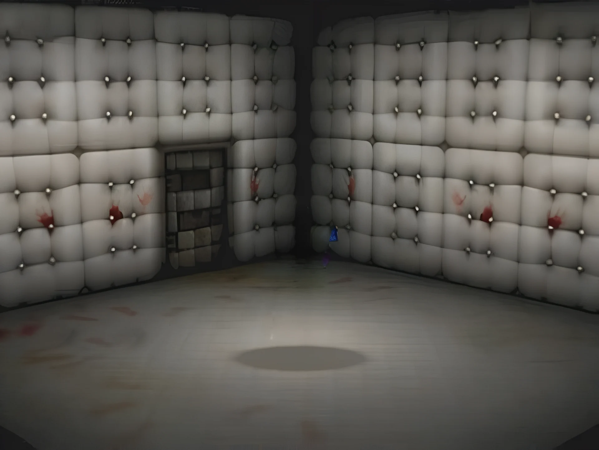 An empty padded cell, seen from a corner camera